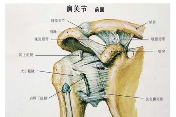 出现这几种症状表明你已经得了肩周炎