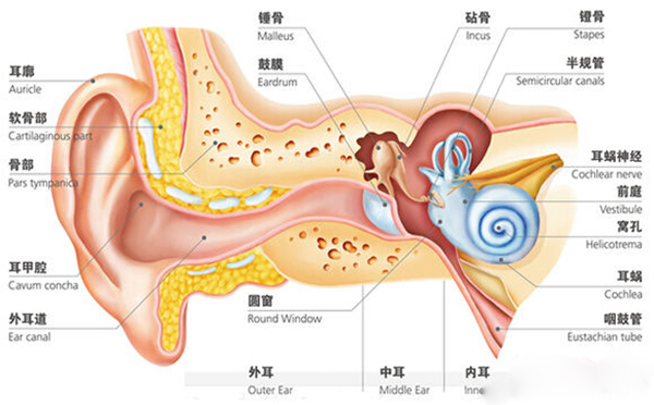 鼓膜穿孔引起的耳鸣如何治疗