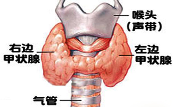 甲状腺腺瘤是一种什么样的疾病