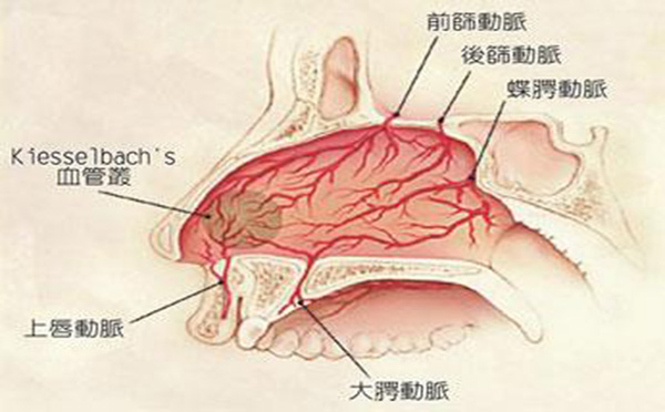 常见的鼻咽癌症状是哪些