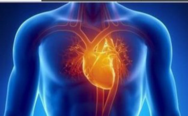 专家向您解答  心脏病这样做可以保护心脏