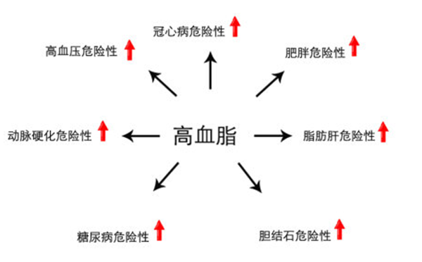 高脂血症会导致哪些严重后果