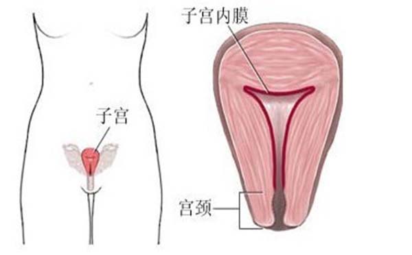 子宫内膜异位症有哪些影响？主要有3种伤害