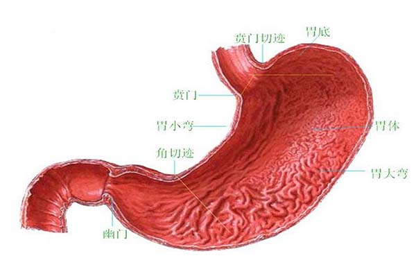 胃炎最常见的几种并发症