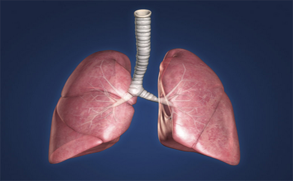 专家带你看看什么是肺纤维化