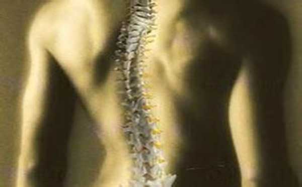 诱发强直性脊柱炎的病因有哪些 专家向您解答